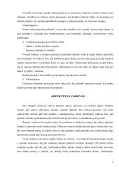 Efektyvaus ir šiuolaikiško vadovo darbo organizavimas 5 puslapis