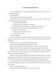 Efektyvaus ir šiuolaikiško vadovo darbo organizavimas 7 puslapis
