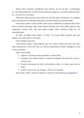 Efektyvaus ir šiuolaikiško vadovo darbo organizavimas 8 puslapis