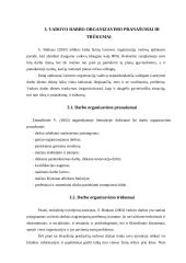 Vadovo darbo organizavimo analizė 8 puslapis