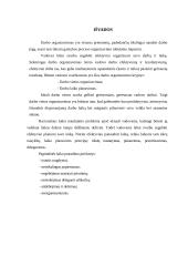 Vadovo darbo organizavimo analizė 10 puslapis