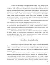 Vadovo elgesys ir darbo stiliai 11 puslapis