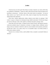 Vadovo elgesys ir darbo stiliai 2 puslapis