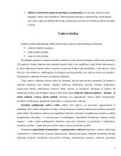 Vadovo elgesys ir darbo stiliai 4 puslapis