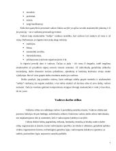 Vadovo elgesys ir darbo stiliai 6 puslapis