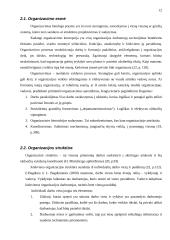 Vadovo funkcijų aptarimas 11 puslapis