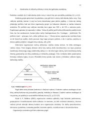 Vadovo funkcijų aptarimas 12 puslapis