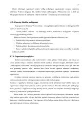 Vadovo funkcijų aptarimas 16 puslapis