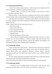 Vadovo funkcijų aptarimas 17 puslapis