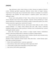 Vadovo funkcijų aptarimas 3 puslapis