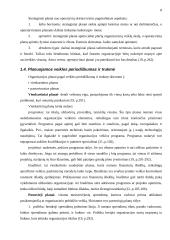 Vadovo funkcijų aptarimas 7 puslapis