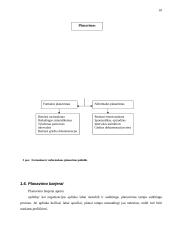Vadovo funkcijų aptarimas 9 puslapis