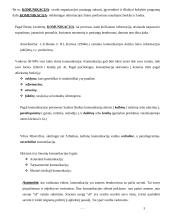 Vadovo komunikacijos ypatybės 3 puslapis