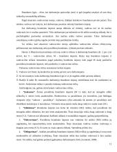 Vadovo savybės ir valdymo stiliai 11 puslapis