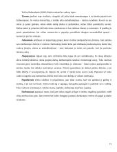 Vadovo savybės ir valdymo stiliai 14 puslapis