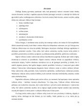 Vadovo savybės ir valdymo stiliai 15 puslapis