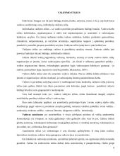 Vadovo savybės ir valdymo stiliai 7 puslapis