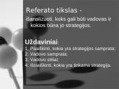 Vadovo strategijos 2 puslapis