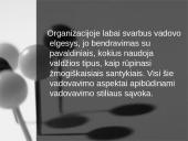 Vadovo strategijos 11 puslapis