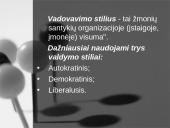 Vadovo strategijos 12 puslapis