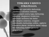 Vadovo strategijos 13 puslapis
