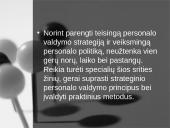 Vadovo strategijos 14 puslapis