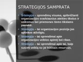 Vadovo strategijos 3 puslapis