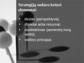 Vadovo strategijos 4 puslapis