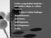 Vadovo strategijos 10 puslapis