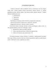Vadovo valdymo funkcijos 3 puslapis