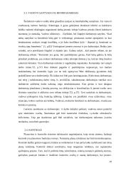 Vadovo valdymo funkcijos 10 puslapis
