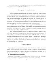 Vadovų ir pavaldinių santykiai 3 puslapis