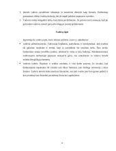 Vadovų ir pavaldinių santykiai 5 puslapis