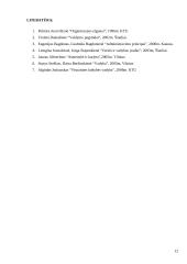 Vadovų tipai ir stiliai 12 puslapis