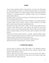 Vagonų eksploatacija 2 puslapis