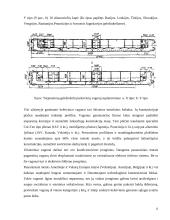 Vagonų eksploatacija 13 puslapis