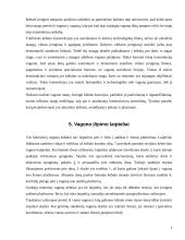 Vagonų eksploatacija 9 puslapis