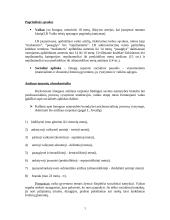 Vaikas, kaip socialinės aplinkos objektas 2 puslapis