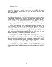 Vaikas, kaip socialinės aplinkos objektas 14 puslapis