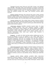 Vaikas, kaip socialinės aplinkos objektas 3 puslapis