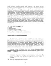 Vaikas, kaip socialinės aplinkos objektas 4 puslapis