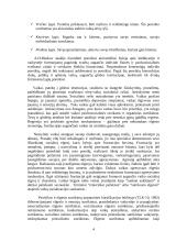 Vaikas, kaip socialinės aplinkos objektas 5 puslapis