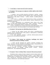 Vaikas, kaip socialinės aplinkos objektas 8 puslapis