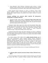 Vaikas, kaip socialinės aplinkos objektas 10 puslapis