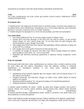 Vaiko išnaudojimo samprata įvairiais amžiaus tarpsniais 6 puslapis