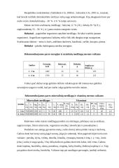 Vaiko mityba 2 puslapis