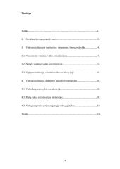 Vaiko socializacija 13 puslapis