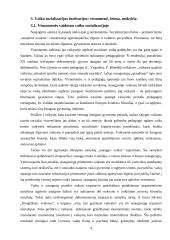 Vaiko socializacija 3 puslapis