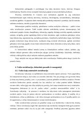 Vaiko socializacija 7 puslapis