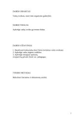 Vaiko sveikata 2 puslapis